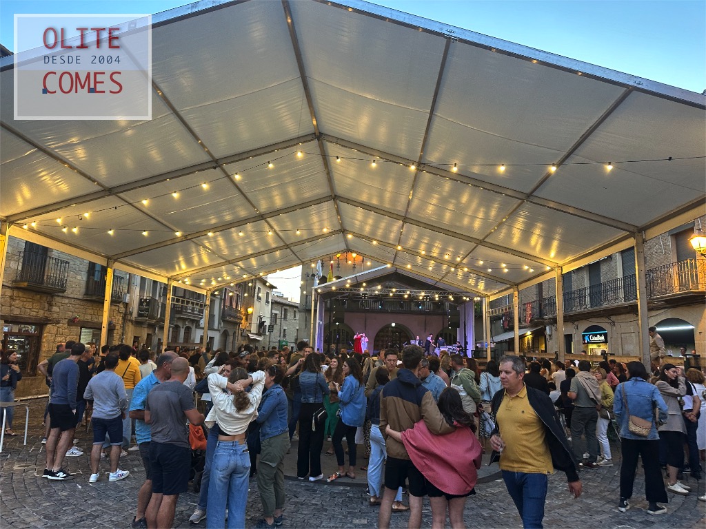 Comienzan los actos de las Fiestas de la Virgen del Colera
