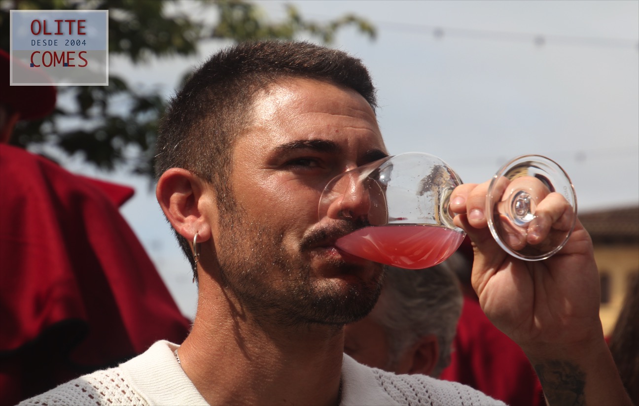 El vino navarro fuente de inspiracion de Ahikar Azcona