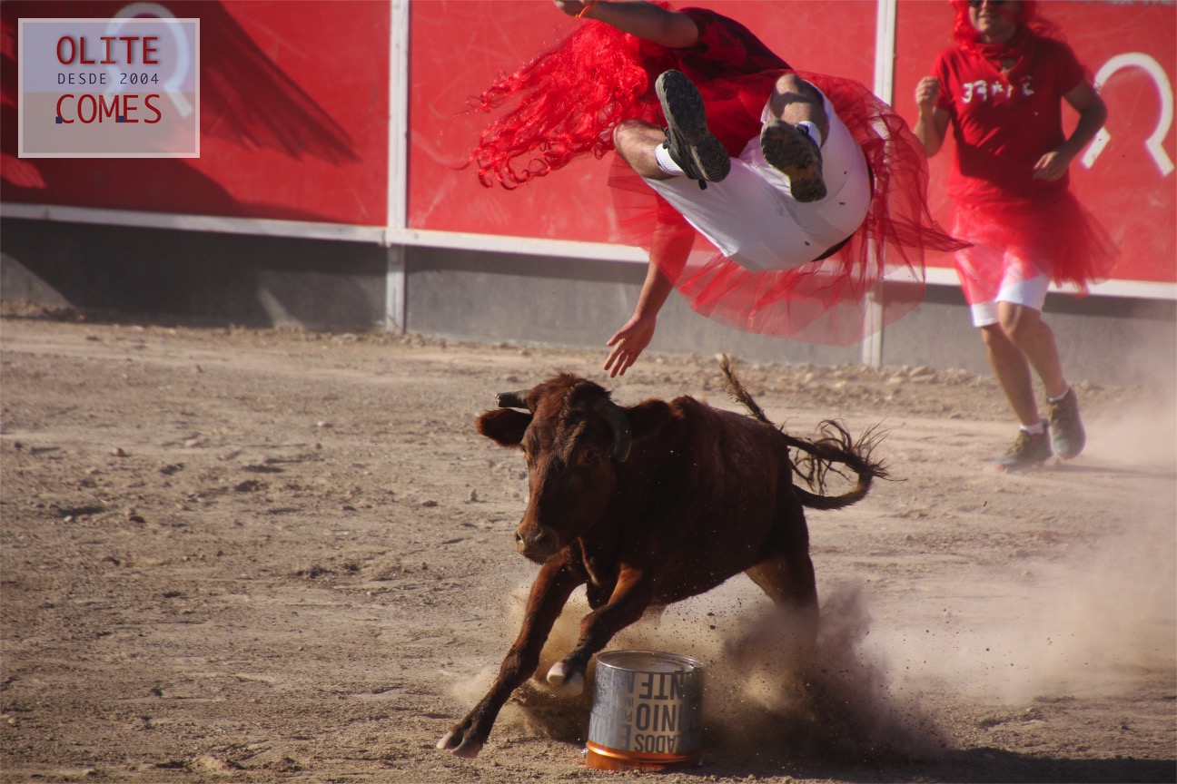 La juventud de Olite, se ha divertido a lo grande dentro de su d�a