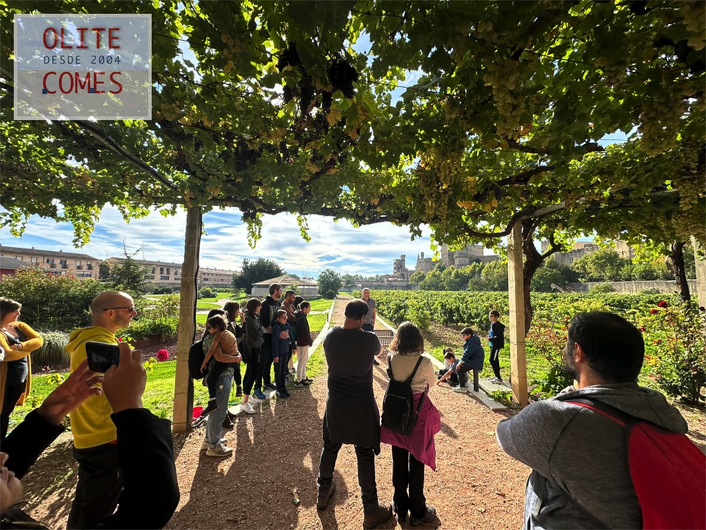 Bodegas Piedemonte presenta el vino Granito de Arena en el Convento de los Franciscanos