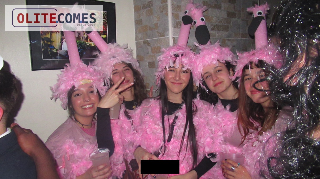 Olite vive una Noche de Carnaval 2025 llena de Color y Diversi�n