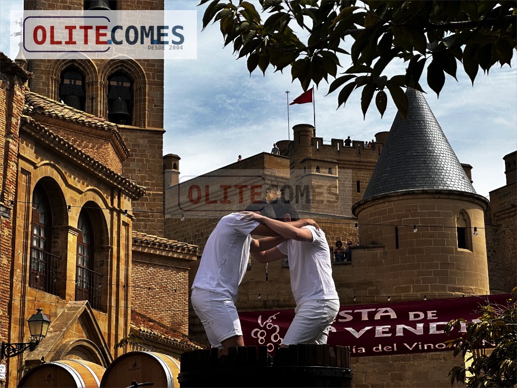Olite da inicio a la vendimia con previsiones positivas y uva de excelente calidad