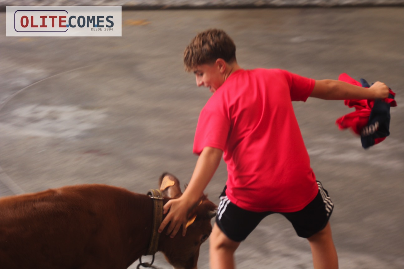 Segunda becerrada de las Fiestas