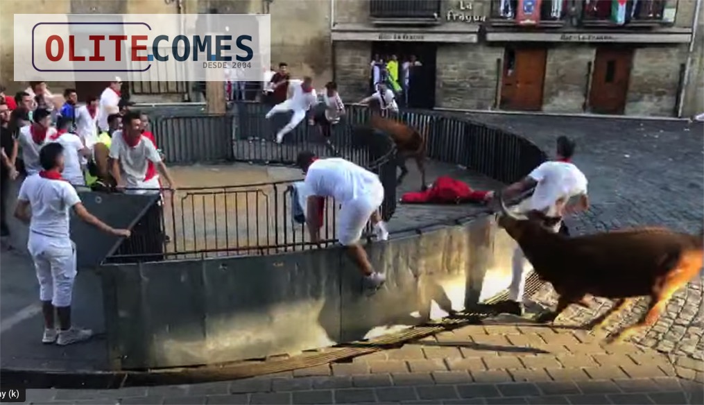 Emocionante encierro de la ganaderia Ustarroz de Arguedas