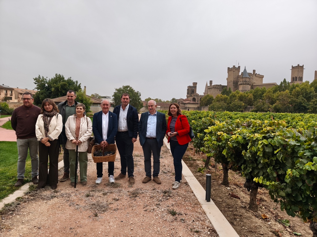 Menos cantidad mas calidad  asi ha sido la vendimia 2025 en la DO Navarra