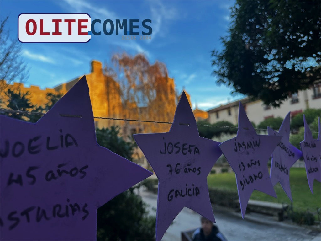 Olite coloca estrellas en la plaza de los Teobaldos en recuerdo de las v�ctimas de la violencia machista