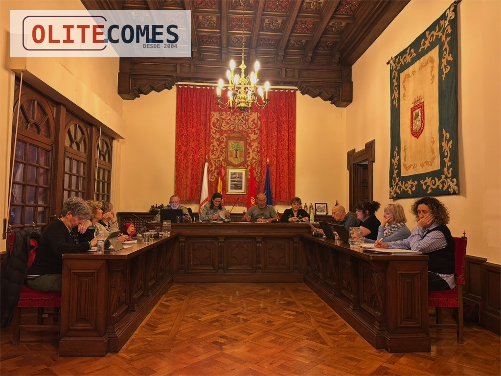Unanimidad en los acuerdos del pleno de Olite, con ausencia de Javier Elarre