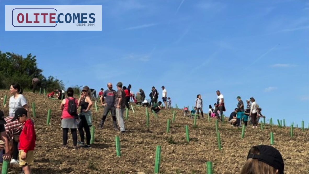  Olite celebra el D�a del �bol con la plantaci�n de 800 ejemplares en el t�rmino de El Estremar