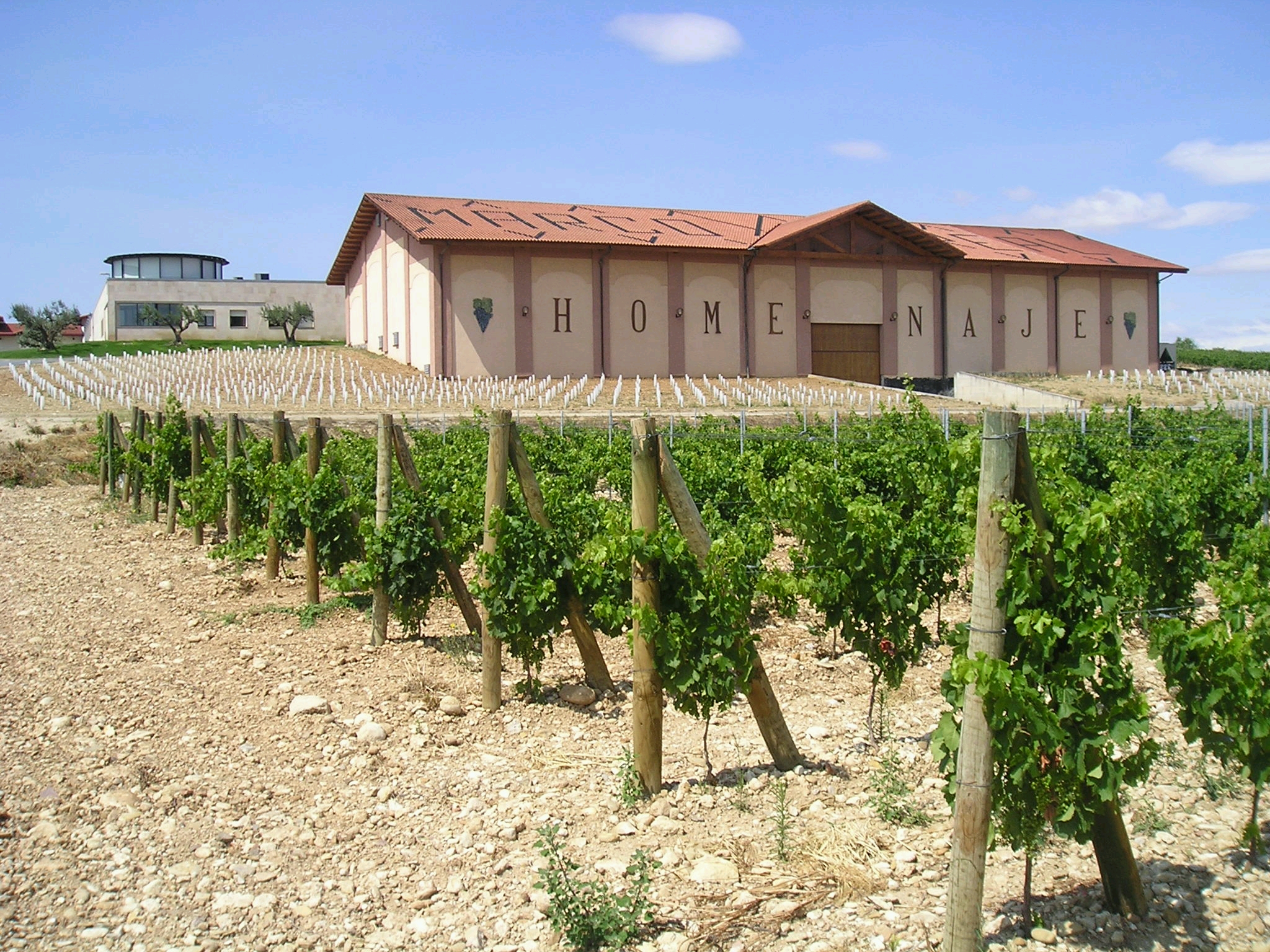 Bodegas Marco Real invita a vivir la vendimia con una experiencia enoturistica unica en Olite