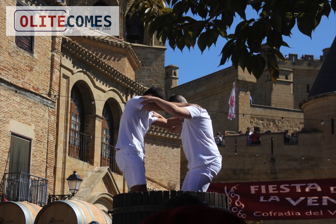 Olite celebra la XXXV Fiesta de la Vendimia de Navarra en una campa�a marcada por la cosecha m�s temprana de la historia
