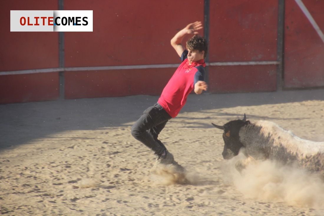 La capea pone el broche a la diana con dos heridos en la plaza de toros